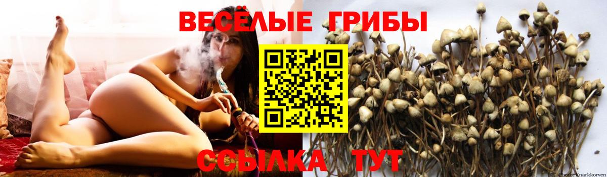Галлюциногенные грибы прущие грибы Тосно